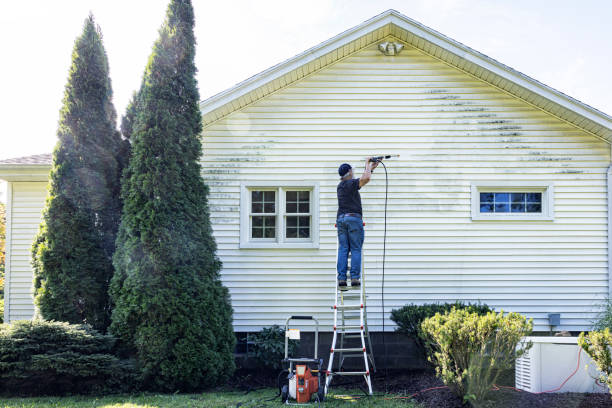 Best Window and Screen Pressure Cleaning in Kahoka, MO